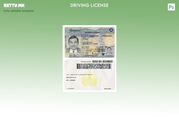 Модерен стил на САД Вермонт возачка дозвола ( – сегашен) шаблон